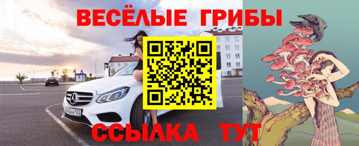 Метамфетамин Кировск